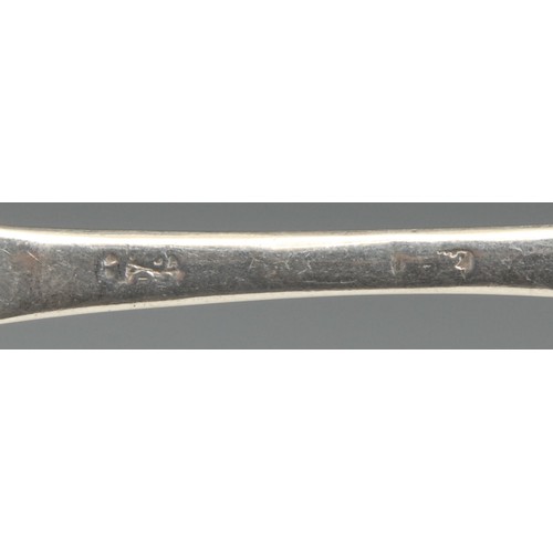 506 - A Queen Anne silver dog nose spoon, rat tail bowl, 19.5cm long, William Petley, London c.1705