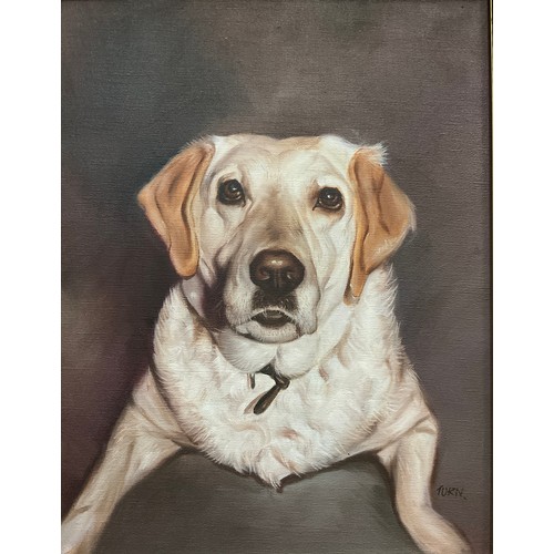 46 - English school, 20th century, a pair of portraits, Labradors, each signed, 45cm x 35cm, and 35cm x 4... 