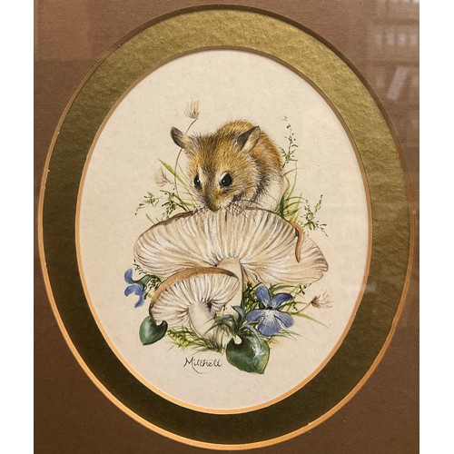 61 - Barbara Mitchell
Wood mouse on a toadstool
signed, watercolour, 13cm x 10cm oval.