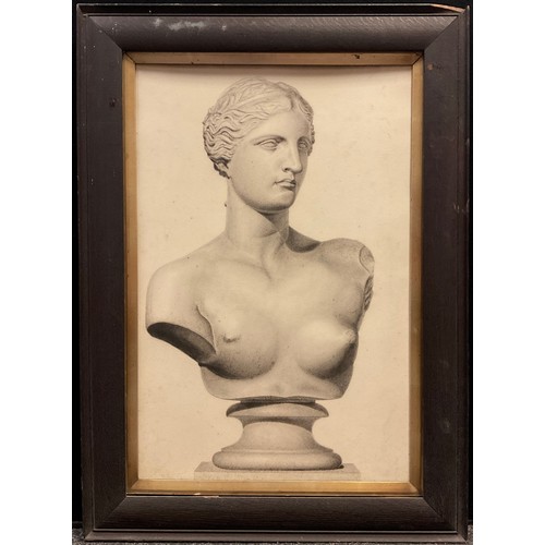 127 - A 19th / early 20th century graphite and charcoal sketch, Venus de Milo, 73cm x 49cm.