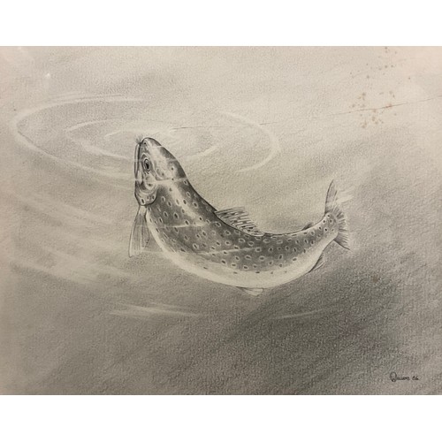 283 - Owen Williams, Brown Trout, signed, dated ‘86, fine pencil drawing, 26,5cm x 32.5cm;  etc, (2).