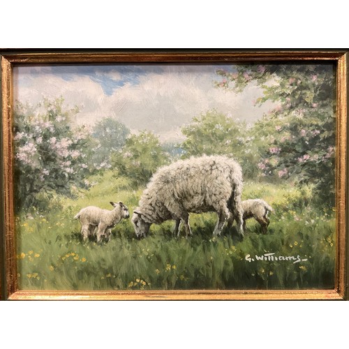 1149A - G. Williams, a pair, Ewe with lambs, and A Bullock, signed, oils on board, each measuring 12.5cm x 1... 