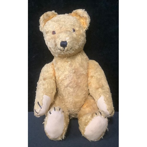 5419 - An early 20th century jointed golden mohair teddy bear, black boot button eyes, pronounced snout and... 