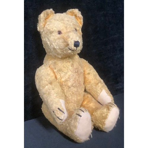 5419 - An early 20th century jointed golden mohair teddy bear, black boot button eyes, pronounced snout and... 