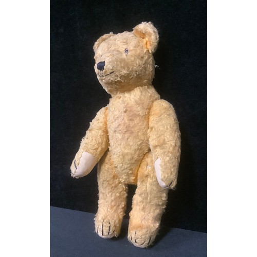 5419 - An early 20th century jointed golden mohair teddy bear, black boot button eyes, pronounced snout and... 