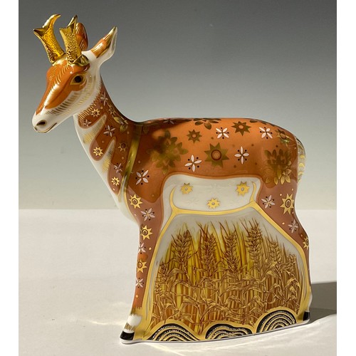 5146 - A Royal Crown Derby paperweight, Pronghorn Antelope, limited edition 403/950, gold stopper, 17cm, pr... 