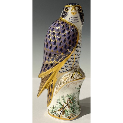 5139 - A Royal Crown Derby paperweight, Peregrine Falcon, gold stopper, 20cm, printed mark in red, boxed