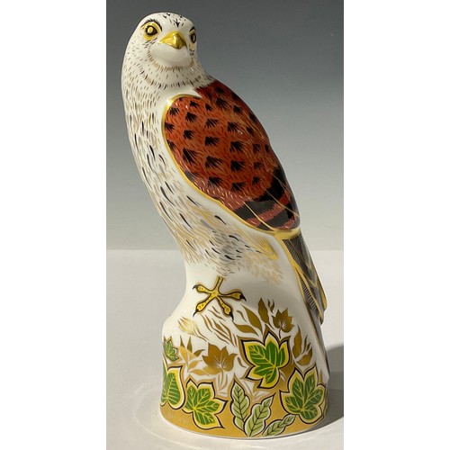 5099 - A Royal Crown Derby paperweight, Kestrel, gold stopper, 18cm, printed mark in red, boxed