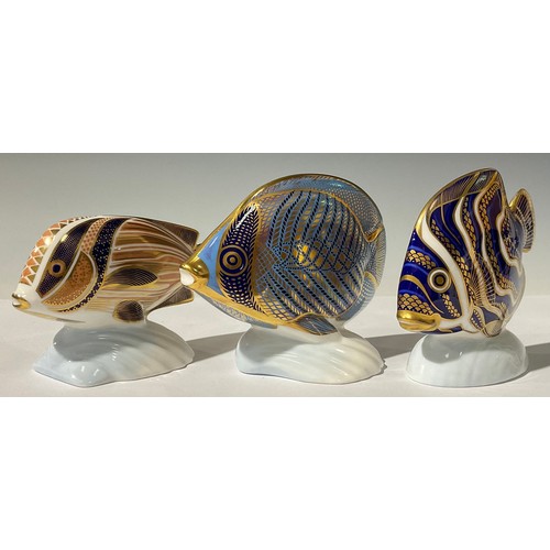 5209 - A Royal Crown Derby paperweight, Tropical Fish Chevroned Butterfly Fish, no stopper, 10cm, printed m... 