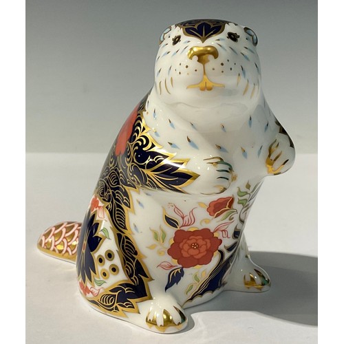 5126 - A Royal Crown Derby paperweight, Old Imari Beaver, exclusive to Peter Jones of Wakefield, gold back-... 