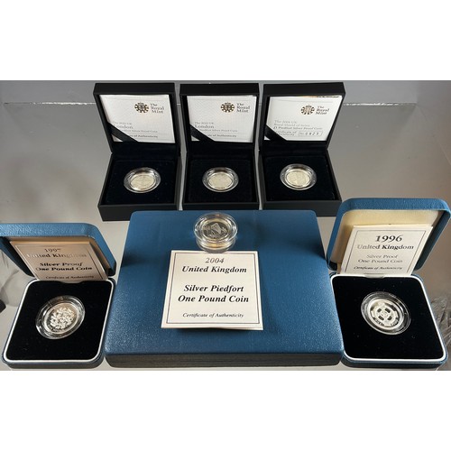 275 - Coins & Tokens - Piedfort silver proof and other £1.00 pound coins, 1996, 1997, 2004, 2008, 2010 (x2... 