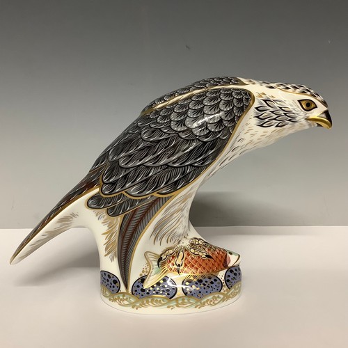 5132 - A Royal Crown Derby paperweight, Osprey, gold stopper, 15cm, printed mark in red