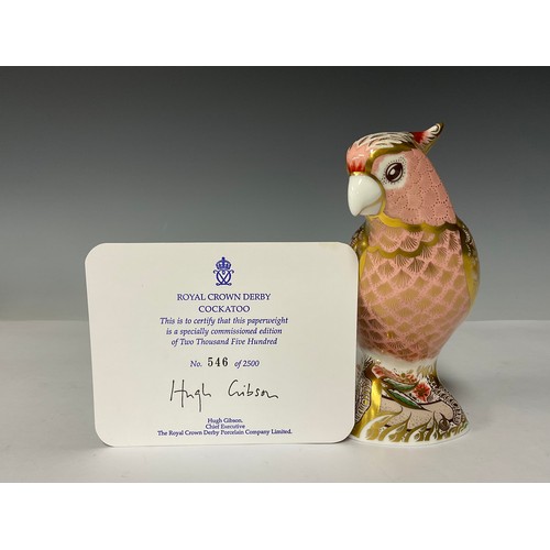 3001 - A Royal Crown Derby paperweight, Cockatoo, specially commissioned, limited edition 546/2,500, gold s... 