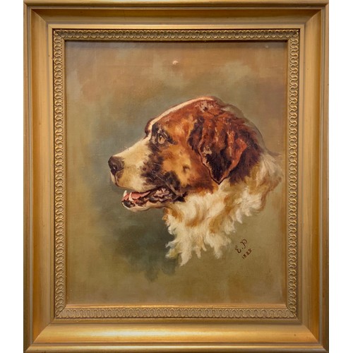 63 - English School, 19th Century, bust Portrait of a Dog, possibly a St Bernard, signed with initials E ... 