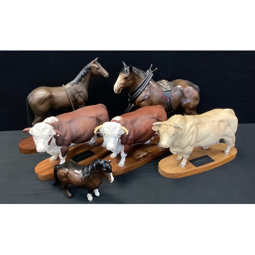 102 - A Beswick Connoisseur collection model Charolais Bull, others Polled Hereford Bull and cow ,  Raceho... 