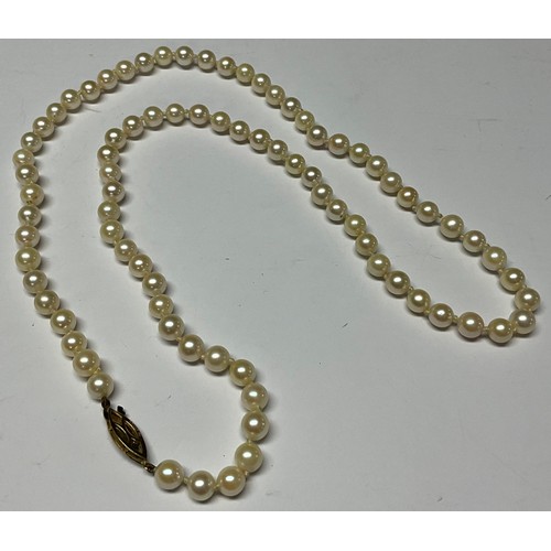 421 - A single strand of uniform cultured pearls, 30cm drop, the 9ct rose gold clasp set with three seed p... 