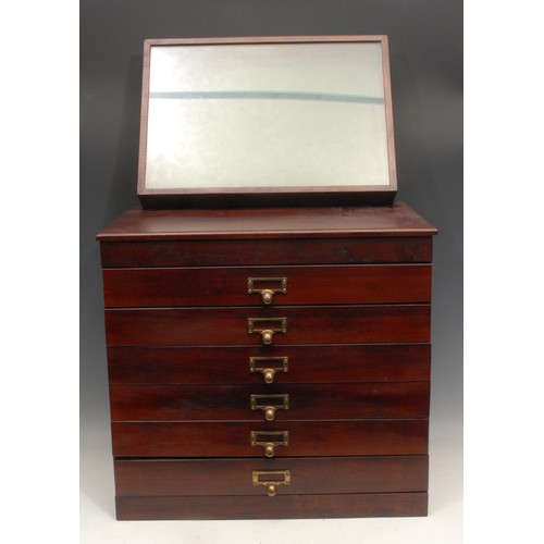 3140 - A mahogany table top collector's cabinet, rectangular oversailing top above six drawers, each compar... 