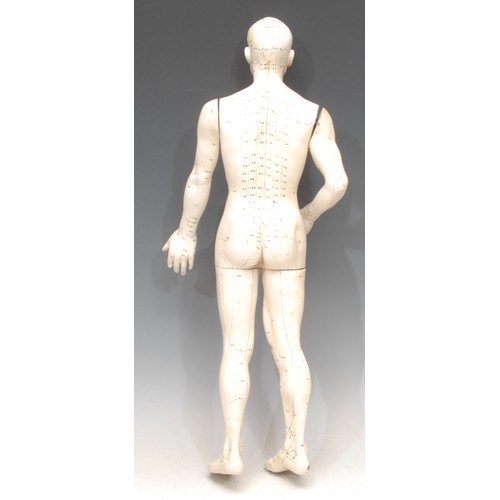 3390 - Medical Interest - a didactic acupuncture model, the male figure mapped out with a diagram of insert... 