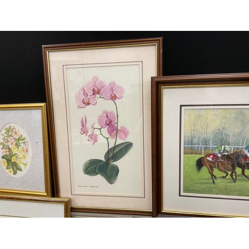 46 - Betty Warner, a portfolio of watercolour paintings - Aristocrats on Buddlea, signed, watercolour, 28... 