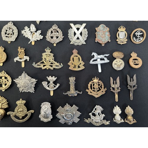 9191 - WW2 British Cap Badge collection comprising of over 60 badges and collar dogs.