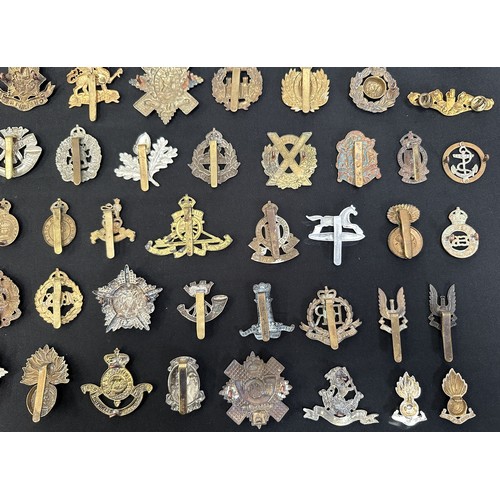 9191 - WW2 British Cap Badge collection comprising of over 60 badges and collar dogs.