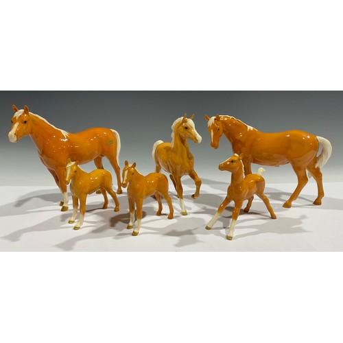 696 - A Beswick palamino stallion and one mare; three Beswick Palamino foals (6)