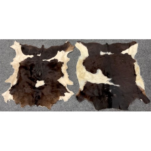 218 - A dark brown and white calf / cow hide rug, 110cm x 94cm; another 93cm x 86cm (2).