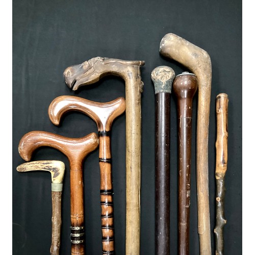 232 - Walking Sticks - including Greek carved handled stick, with Horse Head handle, Mask top shaft, marke... 