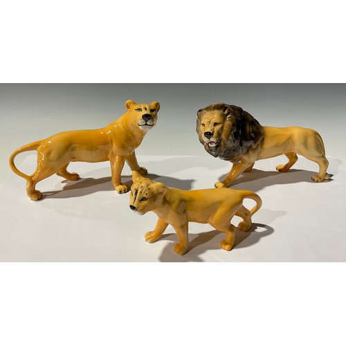 61 - A Beswick Lion Family group, the father 23cm long, printed marks (3)