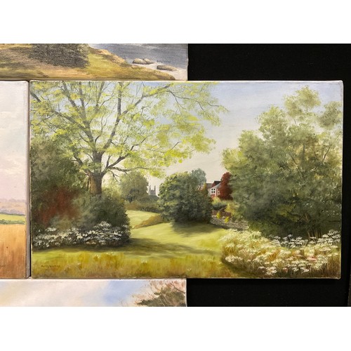 69 - Betty Warner, a small portfolio of oil paintings - Markeaton Park, Allestree Park Golf Club, Path Ar... 