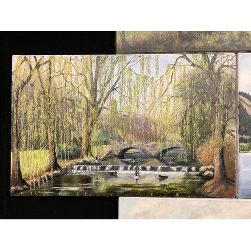 69 - Betty Warner, a small portfolio of oil paintings - Markeaton Park, Allestree Park Golf Club, Path Ar... 