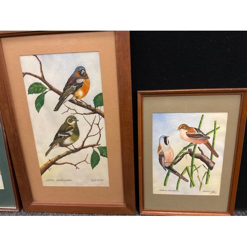 198 - David Cocking (British, 20th century), A set of four ornithological studies, Long-tailed tits, Blue ... 