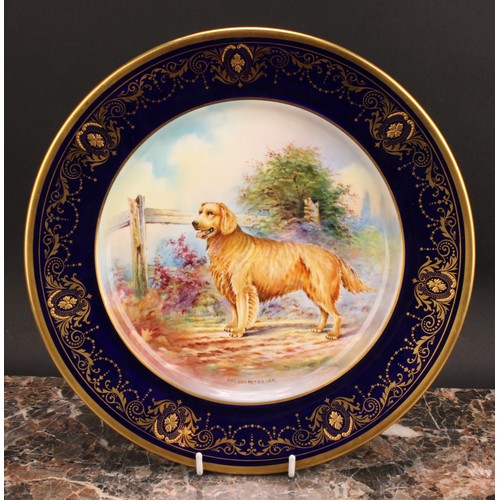 97 - An Aynsley circular plate, painted by J. Shaw, signed to verso, with a Golden Retriever by a fence, ... 