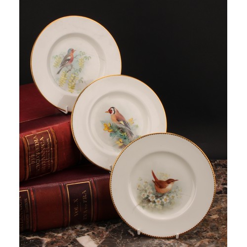 157 - A set of three Royal Worcester tea plates, painted by W. Powell, signed, with named birds, Goldfinch... 