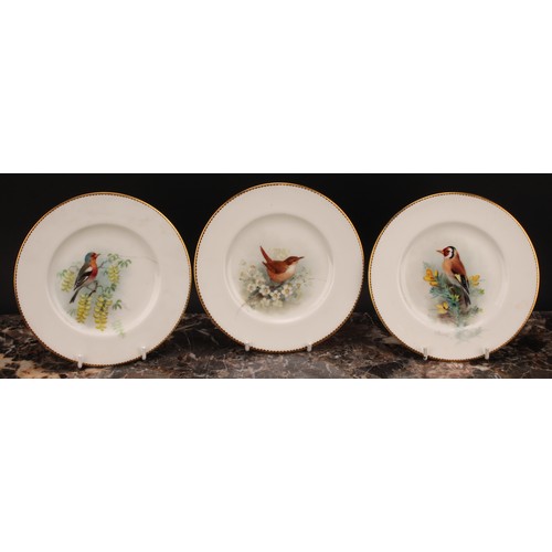 157 - A set of three Royal Worcester tea plates, painted by W. Powell, signed, with named birds, Goldfinch... 