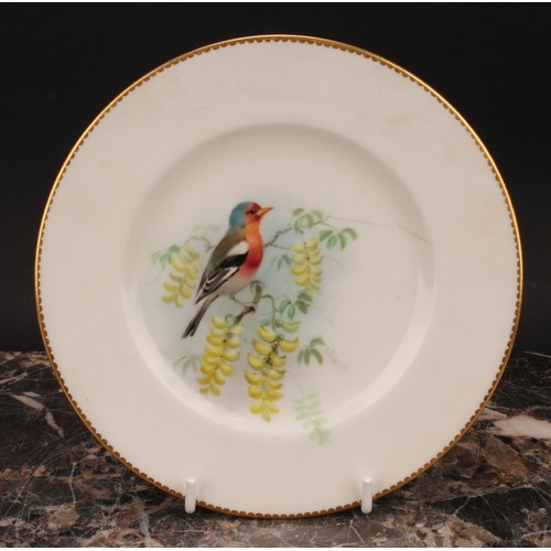 157 - A set of three Royal Worcester tea plates, painted by W. Powell, signed, with named birds, Goldfinch... 