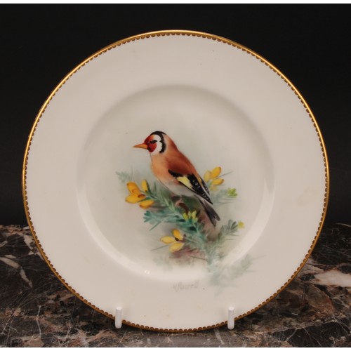 157 - A set of three Royal Worcester tea plates, painted by W. Powell, signed, with named birds, Goldfinch... 