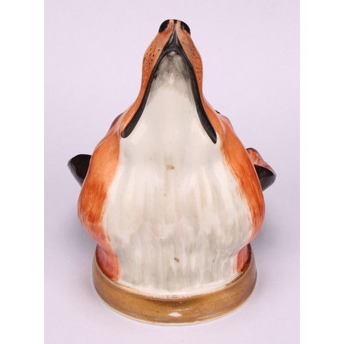 191 - An English porcelain novelty stirrup cup, possibly Derby, modelled as a fox mask, naturalistically p... 