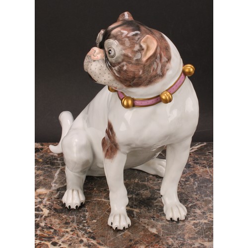 284 - A pair of Dresden pug dogs, collars in pink and gold with bells, 23cm, printed marks in blue, later ... 