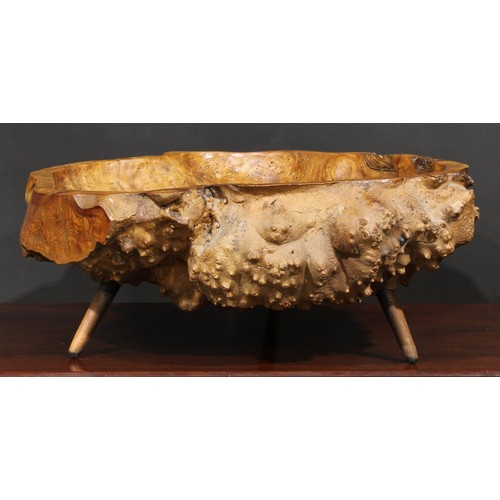 2179 - A large burr elm table centre bowl, of natural irregular shape, outswept legs, 62cm wide