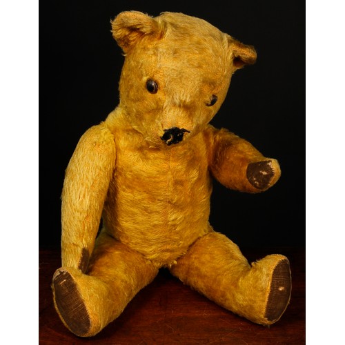 7146 - A 1950's Pedigree golden mohair jointed teddy bear, amber and black plastic eyes, remnants of vertic... 