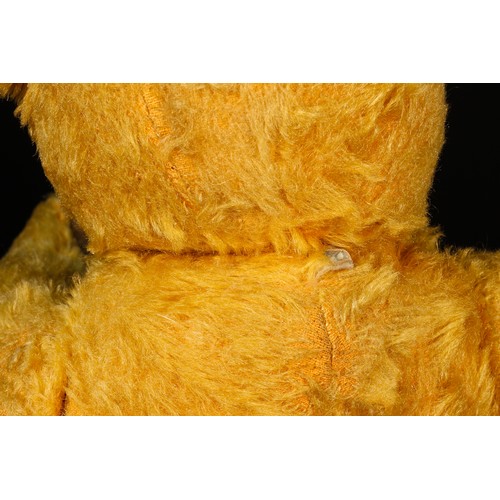 7146 - A 1950's Pedigree golden mohair jointed teddy bear, amber and black plastic eyes, remnants of vertic... 