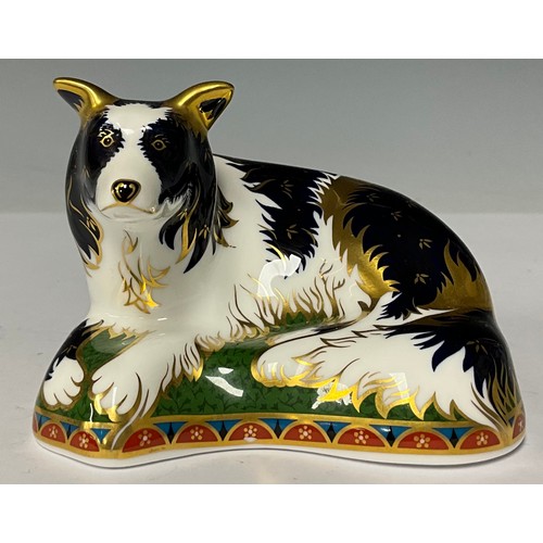 3000 - A Royal Crown Derby paperweight, Border Collie, gold backstamp limited edition 81/2,500, signed in g... 