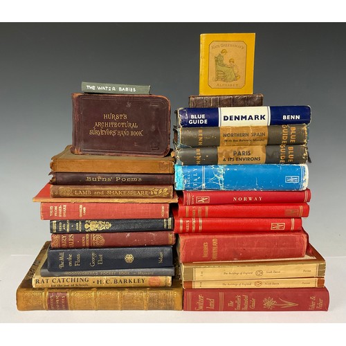 466 - Books - a collection of travel books and various other titles including Nikolaus Pevsner, Blue Guide... 