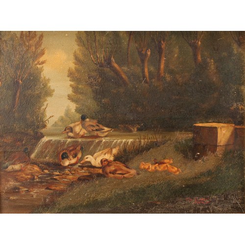 442 - Continental School (19th century)
Ducks and Ducklings,
indistinctly signed and dated 1878, oil on pa... 