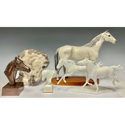 481 - Equestrian Interest - a Beswick model of a dappled grey horse, matt glaze, oval mahogany plinth base... 