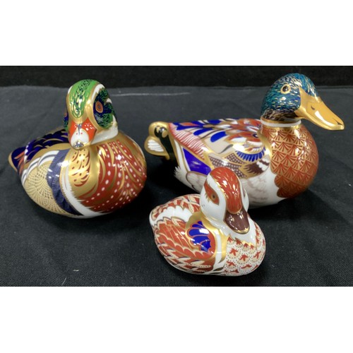 9 - Royal Crown Derby Paperweights - Mallard, Carolina Duck, Swimming Duckling, all gold stopper (3)