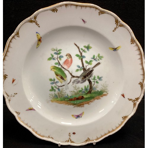 31 - Ceramics - 19th century Meissen porcelain plate, hand painted with birds and insects, gilt border, 2... 