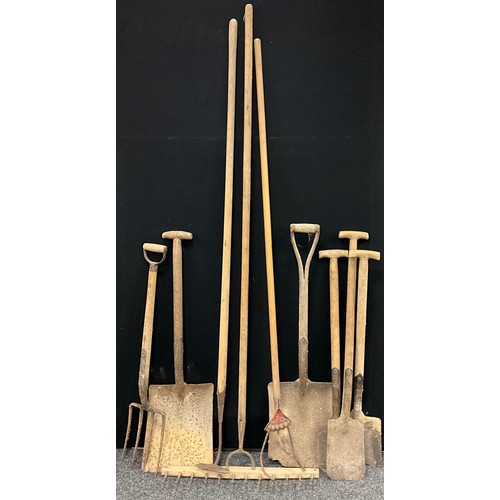 109A - Vintage agricultural and garden tools - rake, garden tiller, hoe, shovels, spades, (14).