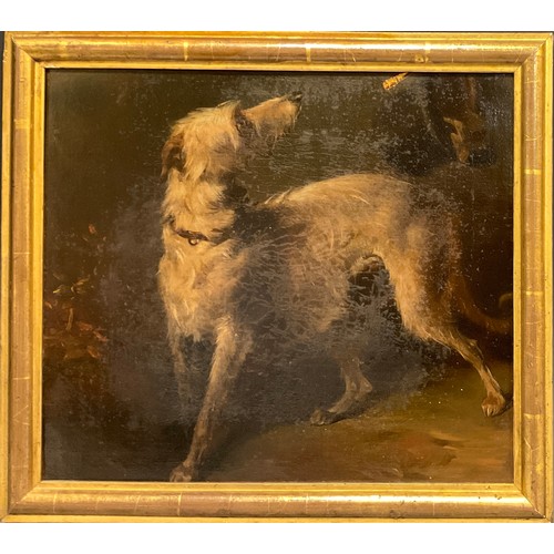 489 - Attributed to Edwin Douglas  (1848-1914)
A Society Wolf Hound,
oil on canvas,
 27.5cm x 31,5cm, gilt... 